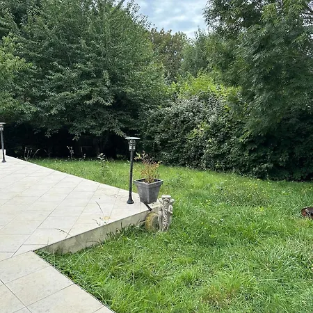 Des Marguerites * Trouville-sur-Mer