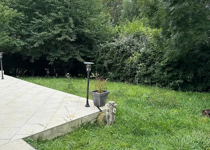 Des Marguerites * Trouville-sur-Mer